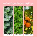 ⁦Body Peeling Pad - الليفة الكورية مومز باث لتقشير الجسم | إزالة خلايا الجلد الميت⁩ - الصورة ⁦6⁩
