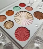 Ofra Palette Mini Mix Eyeshadow, Bronzer, Blush and Highlighter in Nine Colors.